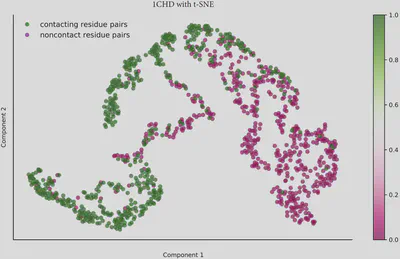 Caption: Visualisation of differentiation between contacting and non-contacting residue pairs using t-distributed Stochastic Neighbor Embedding (t-SNE)