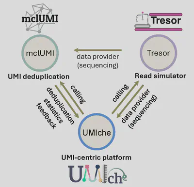 Figure. 1 Ecological system of UMI-centric analysis for improving molecular quantification and optimising sequencing experiments.