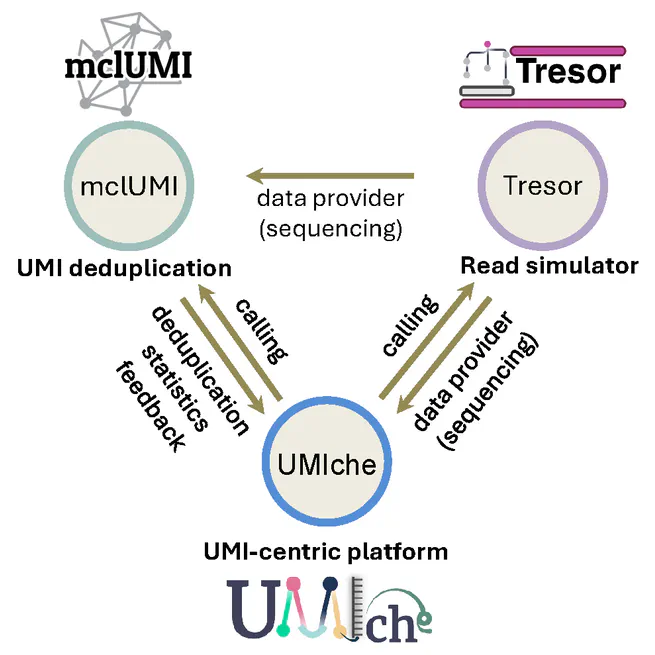 A unified ecosystem established to integrate UMI-centric analyses for improved molecular quantification accuracy