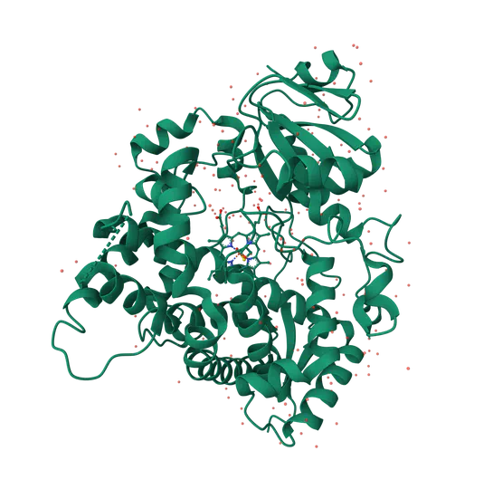 Variant effect prediction