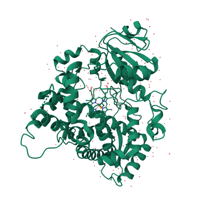 Variant effect prediction