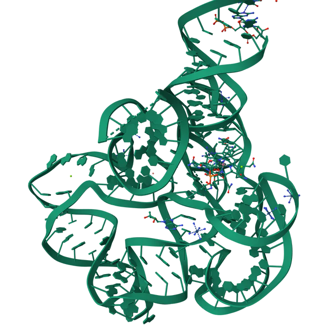 Direct RNA-seq