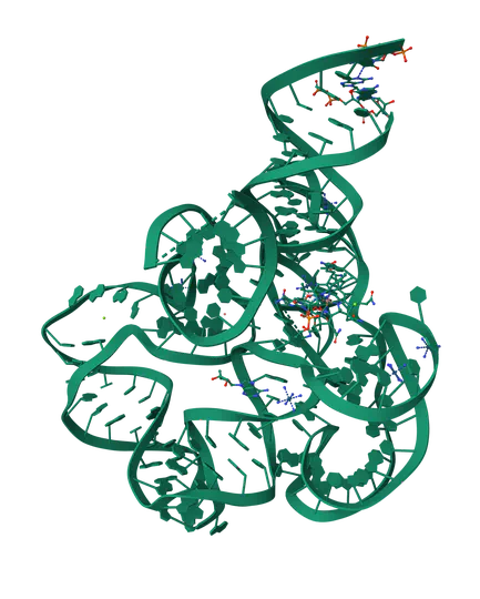 Direct RNA-seq