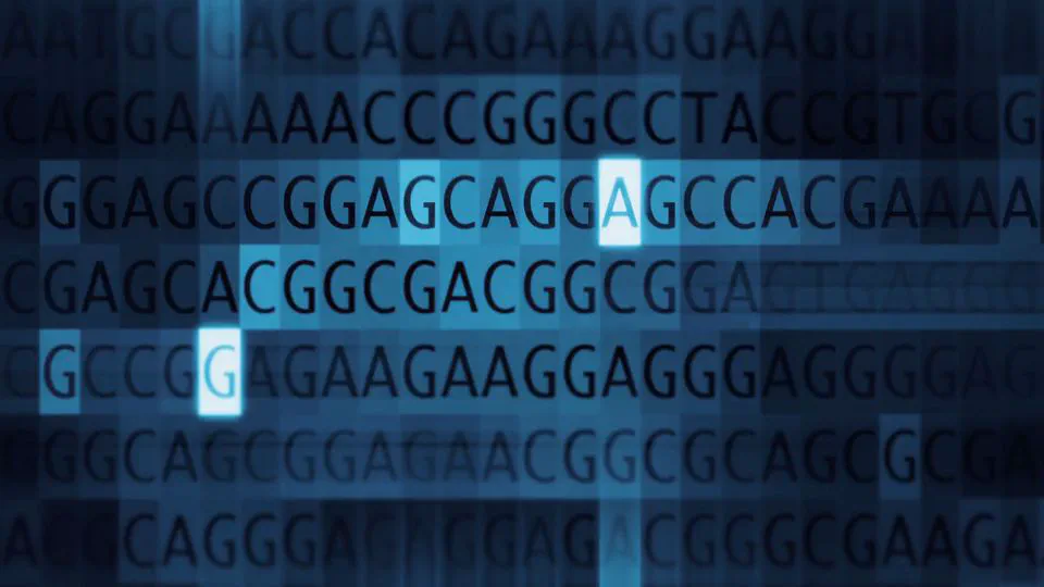 Correcting PCR amplification errors in unique molecular identifiers to generate accurate numbers of sequencing molecules