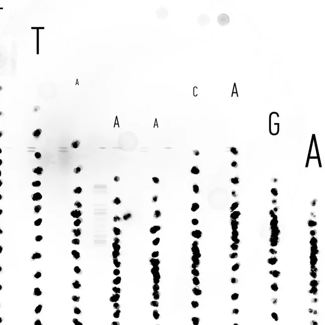 Enhancing single-cell transcriptomics using interposed anchor oligonucleotide sequences