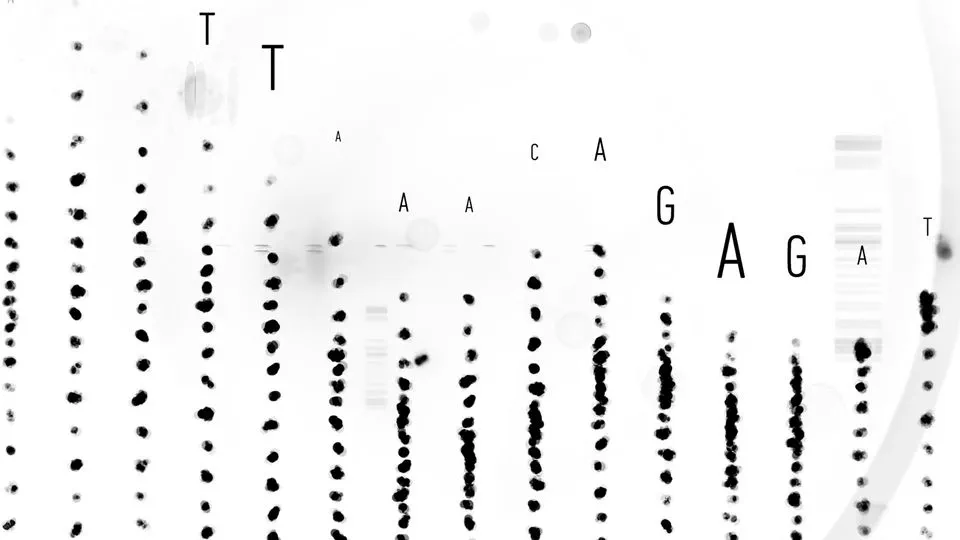 Enhancing single-cell transcriptomics using interposed anchor oligonucleotide sequences
