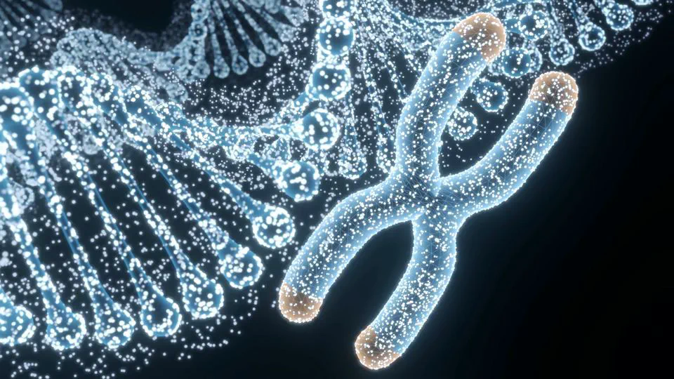 SVLearn: a dual-reference machine learning approach enables accurate cross-species genotyping of structural variants