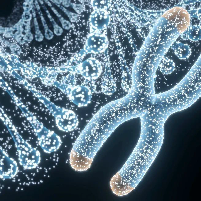 SVLearn: a dual-reference machine learning approach enables accurate cross-species genotyping of structural variants