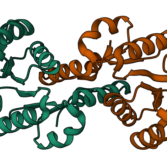 Machine learning in structural biology
