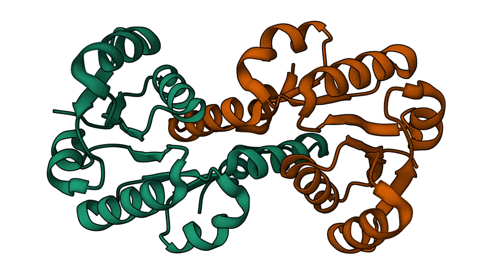 Machine learning in structural biology
