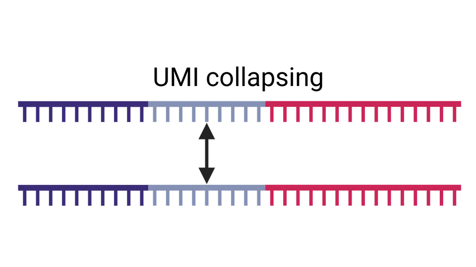 Demultiplexing for molecular quantification