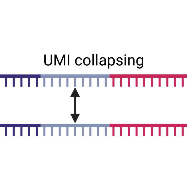 Demultiplexing for molecular quantification