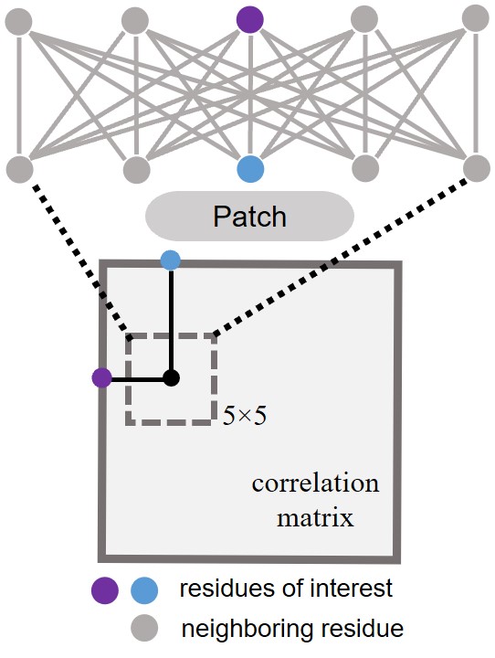 ../../../_images/patch.jpg